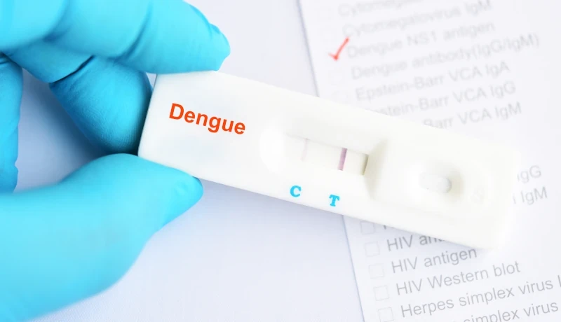 Planos de Saúde devem cobrir teste rápido de dengue